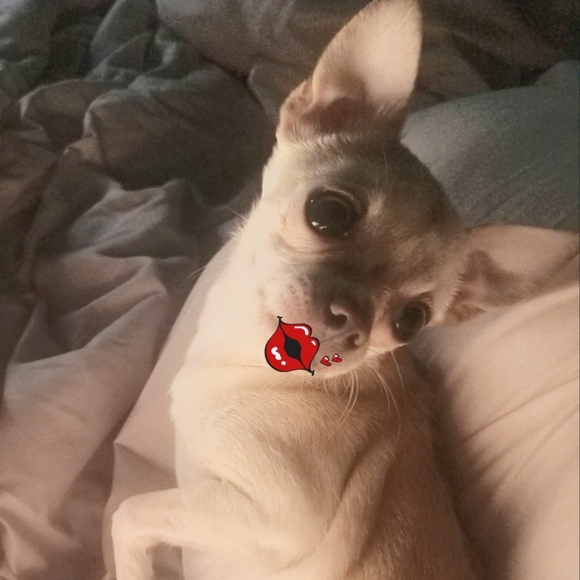 ๐ค๐ฎ๐ธ๐ฆโ ๐ค๐ฎ๐ธ๐ฆโ ๐ค - Picture 14 of 16